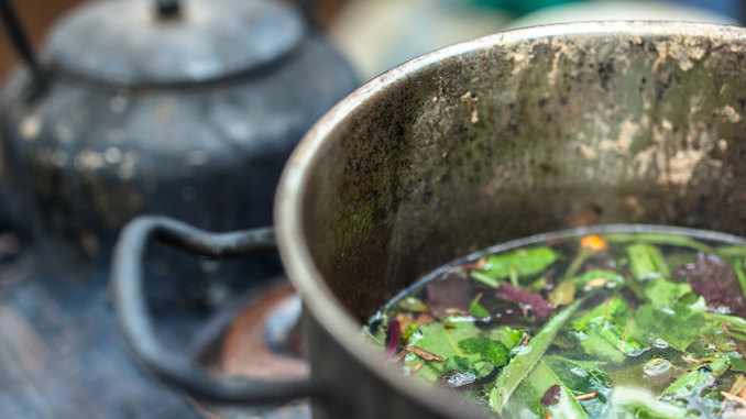 Ayahuasca and the Endocannabinoid System Ayahuasca and the Endocannabinoid System