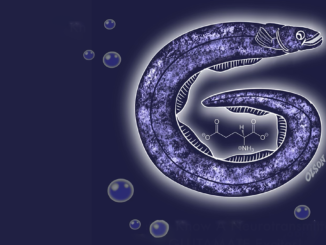 Glutamate, A Love Story | Project CBD