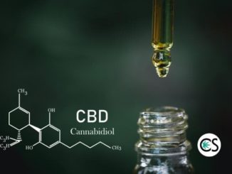 What Does CBD Stand For?
