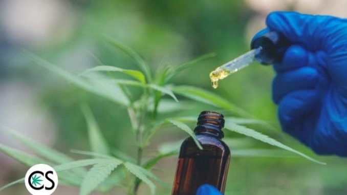 What is Hemp Oil Good For? What is Hemp Oil Good For?