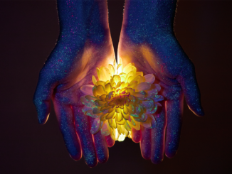 Breaking the Bias | Project CBD