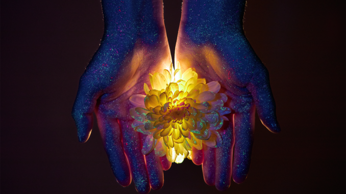 Breaking the Bias | Project CBD