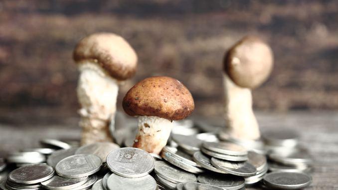 Heal the Mind, Heal the World