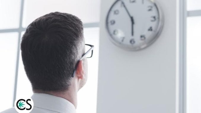 How Long Does it Take CBD Oil to Work?