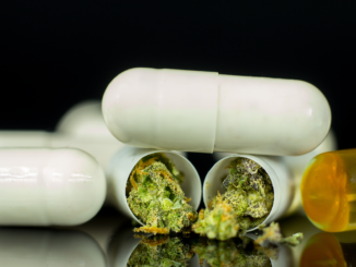 New Research on the Use and Perception of Cannabis