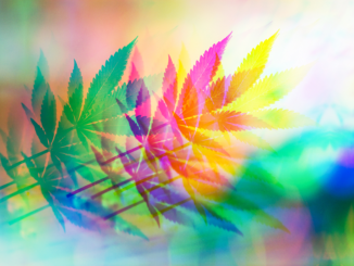 CBG! A Compound With Intriguing Medical Potential